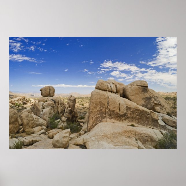 Formations Joshua Tree Poster (Front)