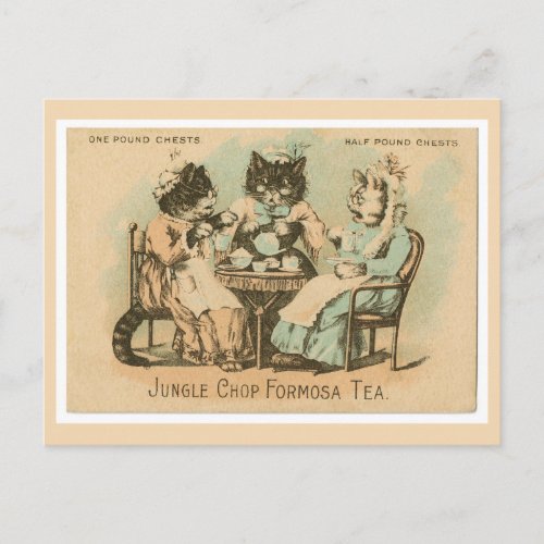 Formosa Tea Cats Postcard