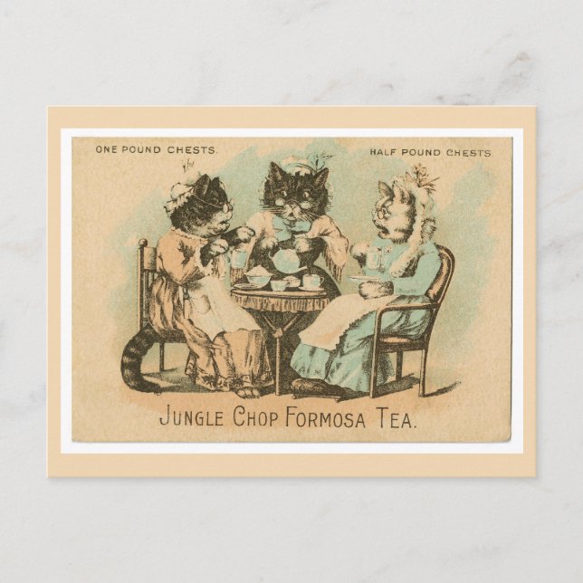 Formosa Tea Cats Postcard (Front)