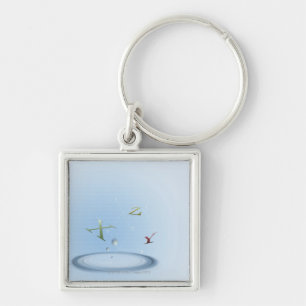 Formula, graph, math symbols 9 keychain