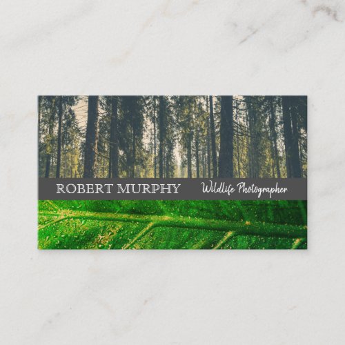 Forrest  Leaf  Wild Life Photographer Business Card