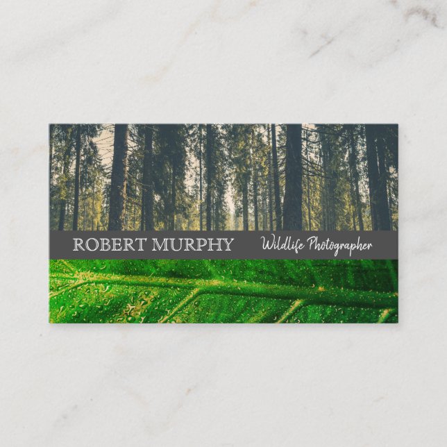 Forrest | Leaf | Wild Life Photographer Business Card (Front)