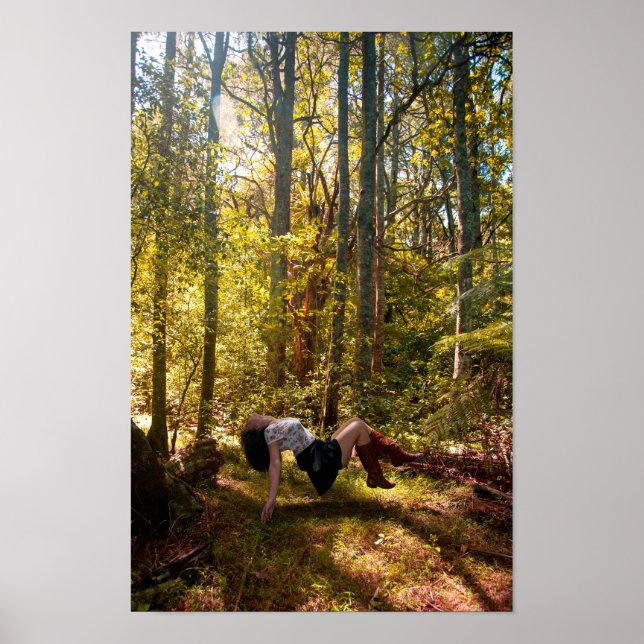 Forrest of Dreams Poster (Front)