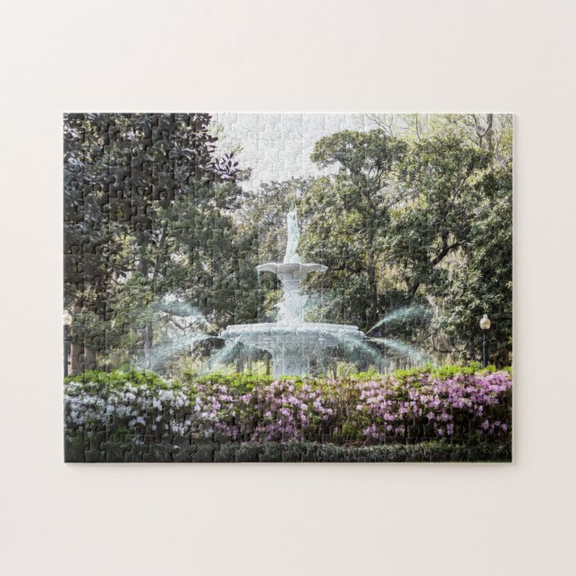 Forsyth Fountain Savannah Challenging Puzzle (Horizontal)