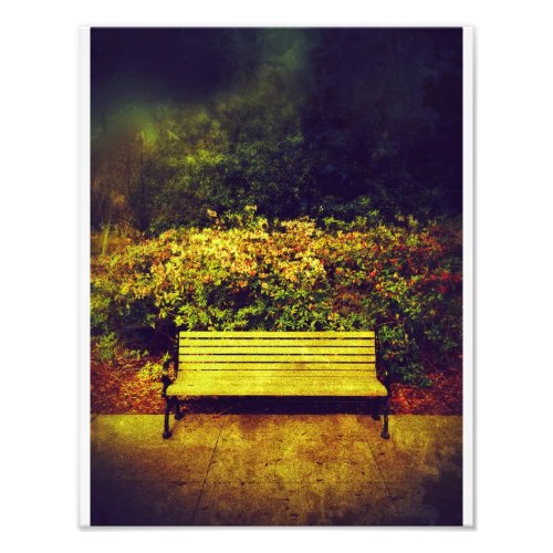 Forsyth Park Bench Photo Print