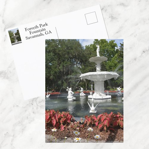 Forsyth Park Fountain Savannah GA Photographic Postcard