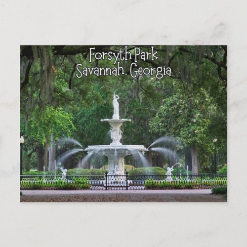 Forsyth Park Fountain Savannah Georgia Postcard