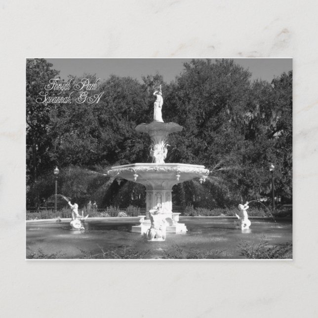 Forsyth Park Fountain Savannah, Georgia Postcard (Front)