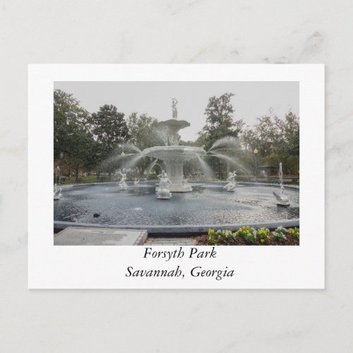 Forsyth Park Fountain Savannah Georgia Postcard