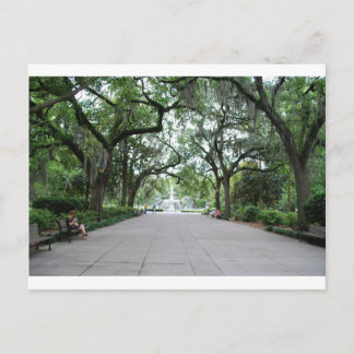 Forsyth Park in Savannah, GA Postcard