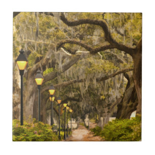 Savannah Georgia Decorative Ceramic Tiles Zazzle Forsyth Park Photo Savannah Georgia Ga Usa Ceramic Tile