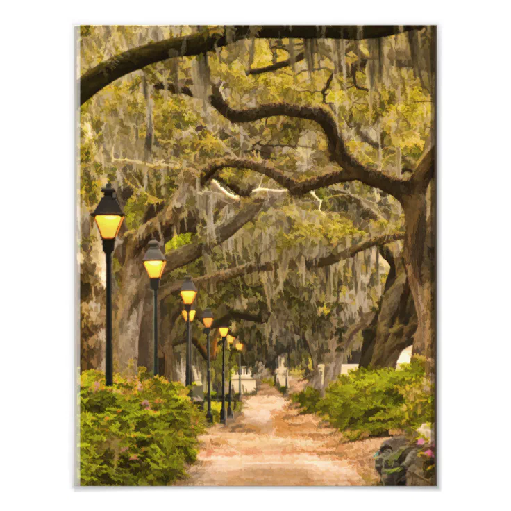 A serene image of Forsyth Park showcasing its lush environment.