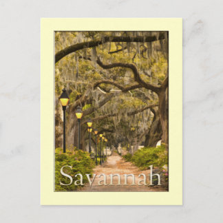 Forsyth Park - Savannah, GA Postcard