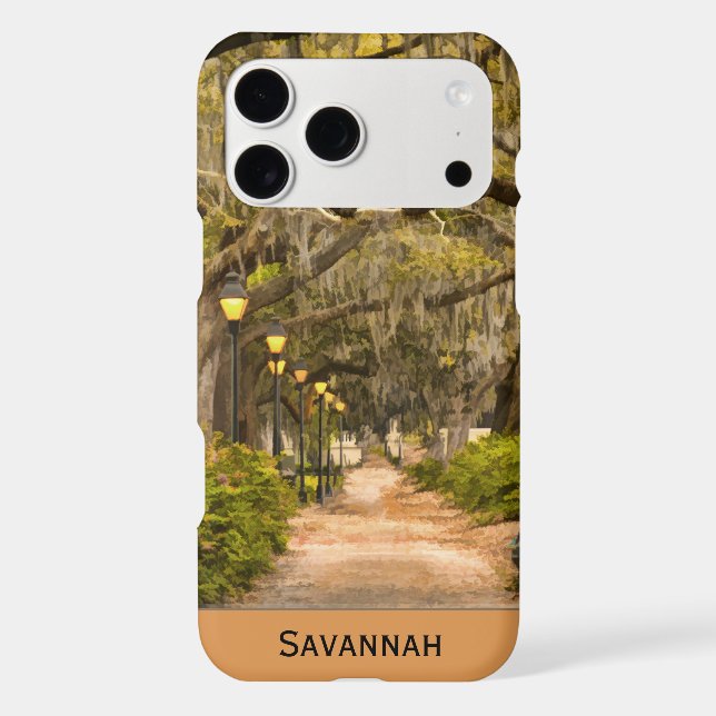 Forsyth Park, Savannah, Georgia Travel Photography Case-Mate iPhone Case (Back)