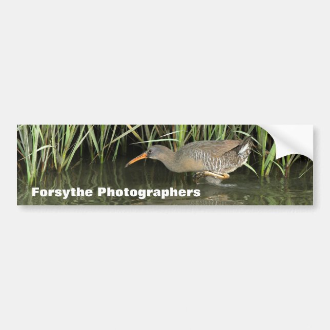 Forsythe Photographers Meetup Group Bumper Sticker (Front)