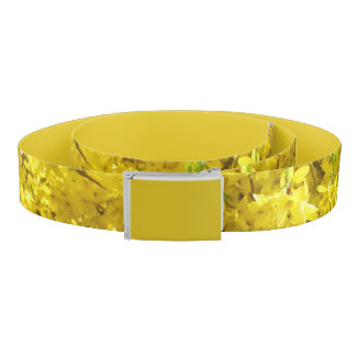 Forsythia Belt