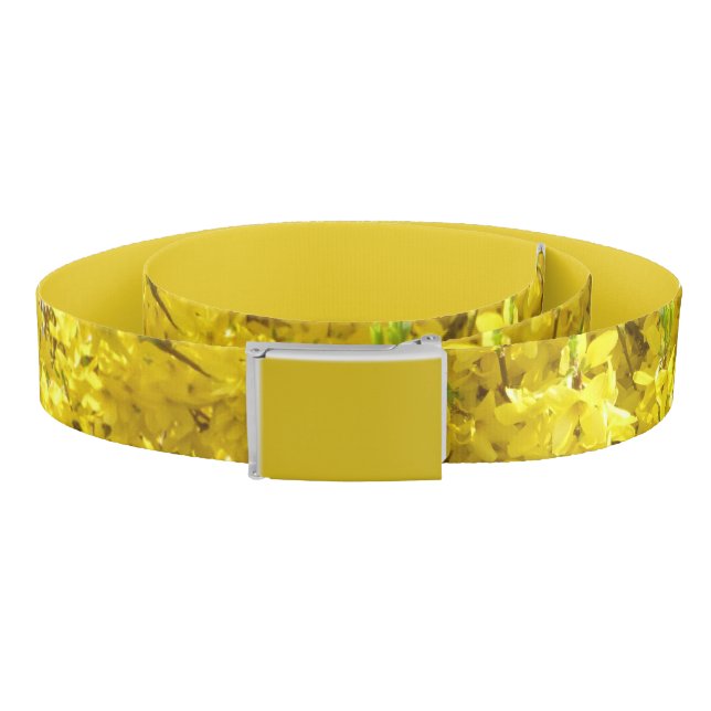 Forsythia Belt (Coil)