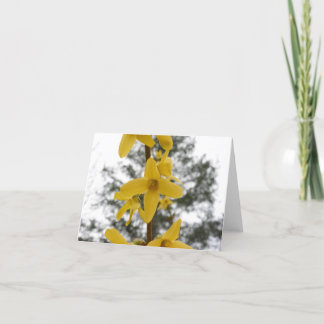 Forsythia blossom notecard