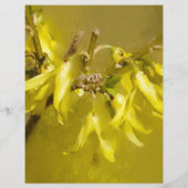 Forsythia - Springtime Sunshine (Back)