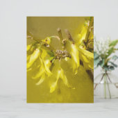 Forsythia - Springtime Sunshine (Standing Front)
