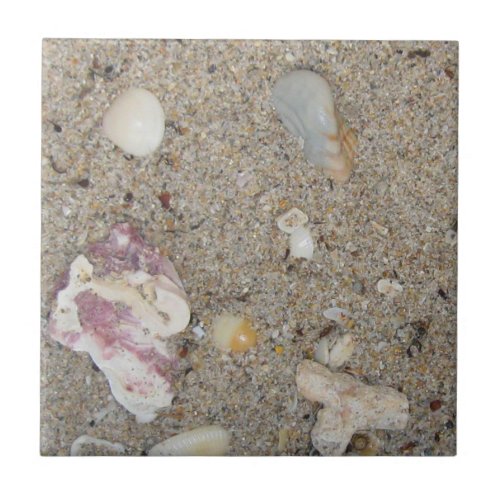 Fort Lauderdale Beach Sand Shells Coral Ceramic Tile