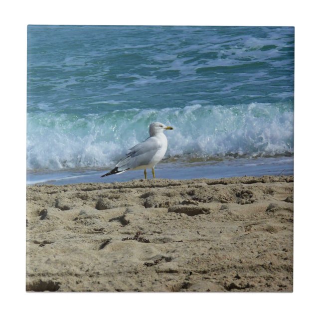 Fort Lauderdale, Florida Ceramic Tile (Front)