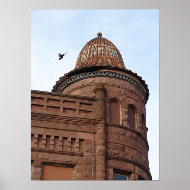 Fort Madison, Iowa Building and Pigeon Poster (Front)