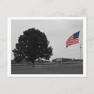 Fort McHenry Postcard
