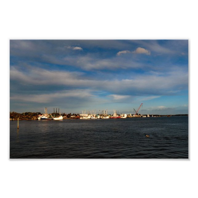 Fort Myers Photo Print (Front)