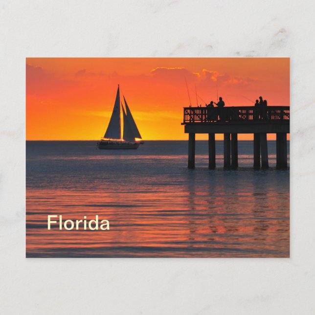 Fort Myers sunset Postcard (Front)