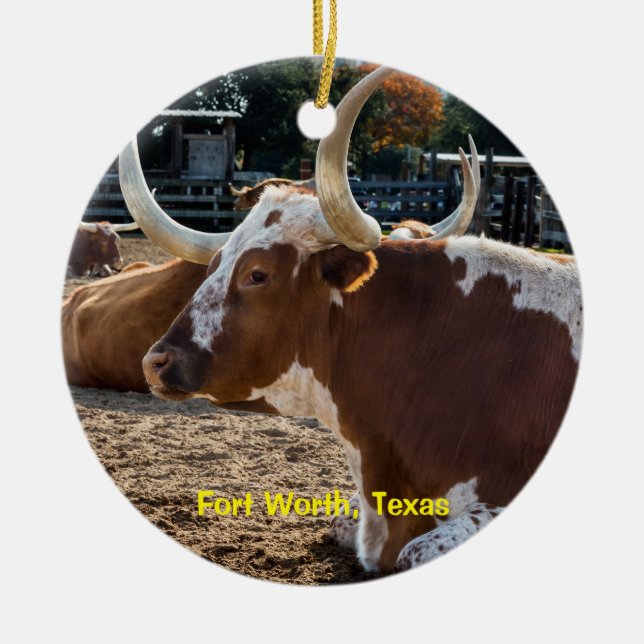 Fort Worth Texas Longhorns Ceramic Ornament (Front)