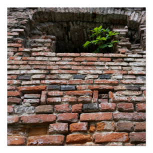 fortress wall window poster