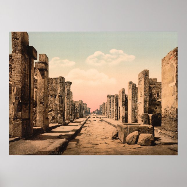 Fortuna Street, Pompeii, Campania, Italy Poster (Front)