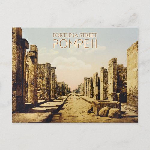 Fortuna Street Pompeii Italy Postcard
