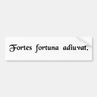 Fortune favors the bold. bumper sticker