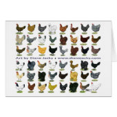 Forty-eight Hen Promo (Front Horizontal)