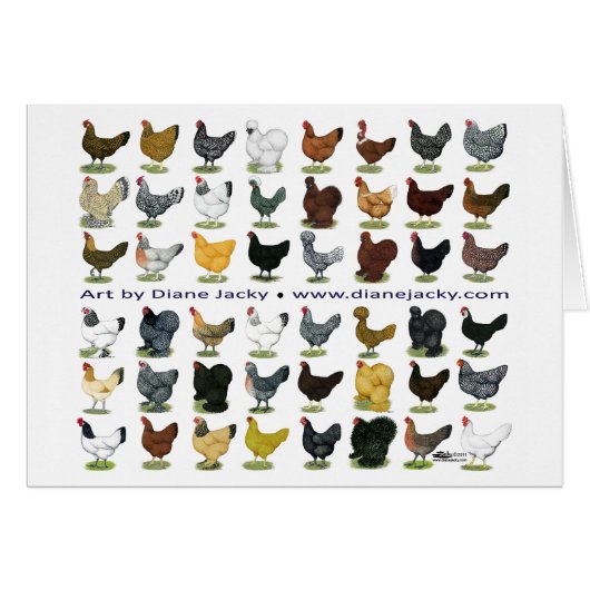 Forty-eight Hen Promo Cards (Front Horizontal)