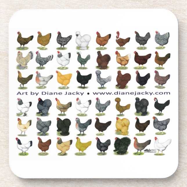 Forty-eight Hen Promo Drink Coaster (Front)