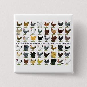 Forty-eight Hen Promo Pinback Button