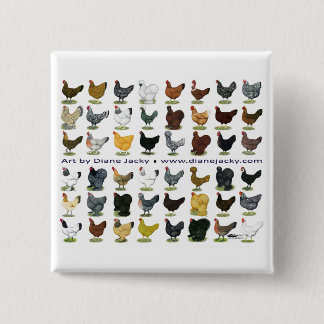 Forty-eight Hen Promo Pinback Button