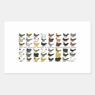 Forty-eight Hen Promo Rectangular Sticker