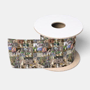 Forty Meerkats Photo Collage, Satin Ribbon