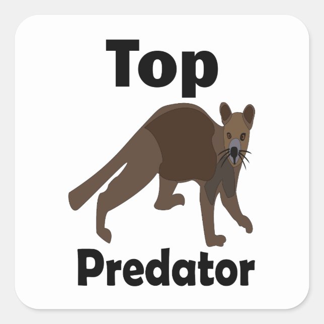 Fossa Madagascar Carnivore Top Predator Square Sticker (Front)
