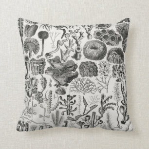 Fossil Coral Geology Minerals Polypi Throw Pillow