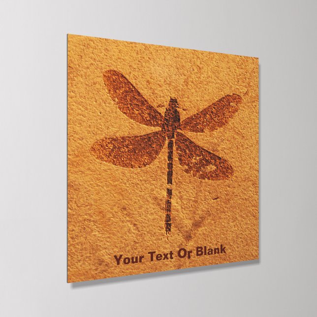Fossil Dragonfly Acrylic Photo Tile (Angled)