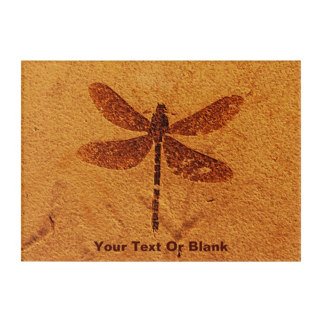 Fossil Dragonfly Acrylic Print (Front)