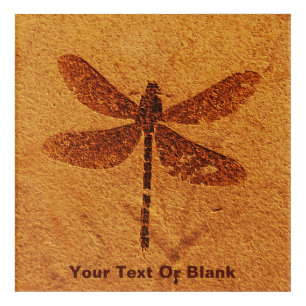 Fossil Dragonfly Acrylic Print