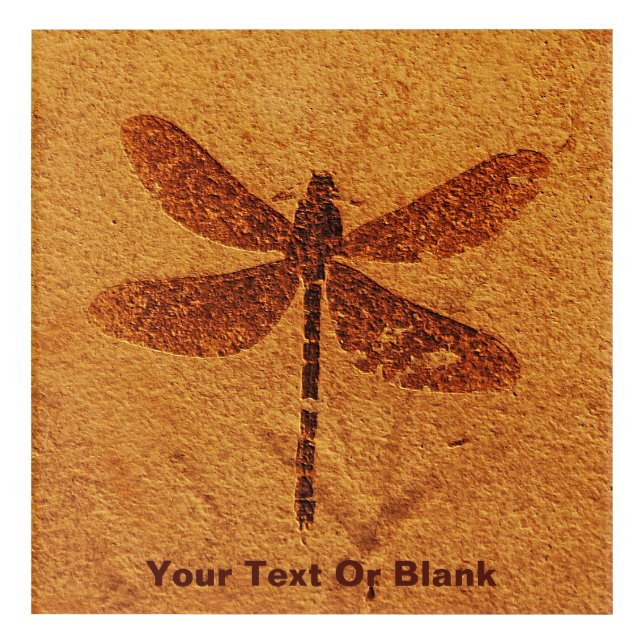 Fossil Dragonfly Acrylic Print (Front)