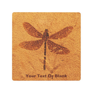 Fossil Dragonfly Metal Print