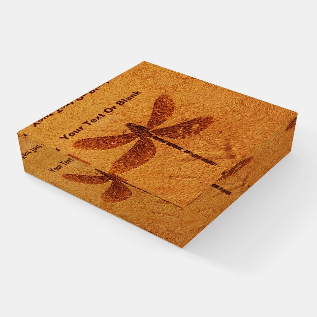 Fossil Dragonfly Paperweight (Angled)